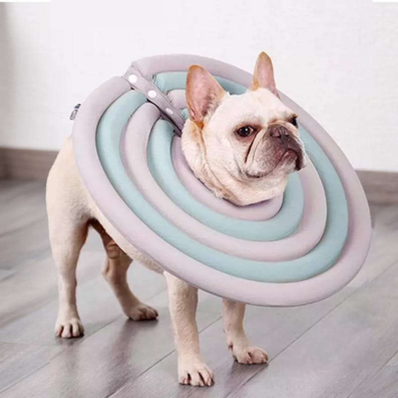 Cone for french bulldog hotsell
