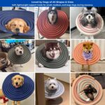 soft dog cone