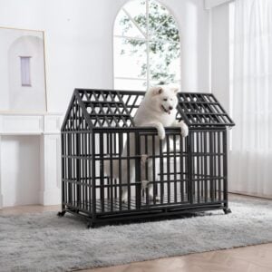 escape proof heavy duty dog crate