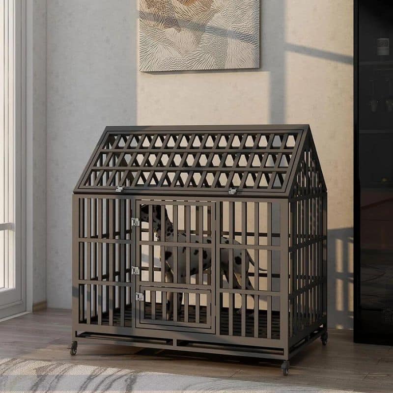 All metal dog crates clearance