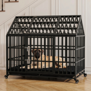 54 in indoor dog kennel