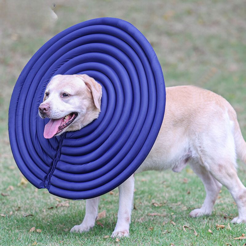 soft cone for large dogs