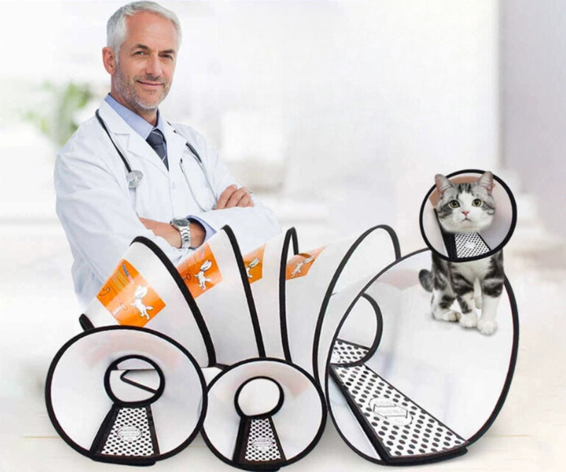 trusted by veterinary clinics