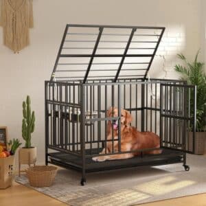 heavy duty crate for golden retriever