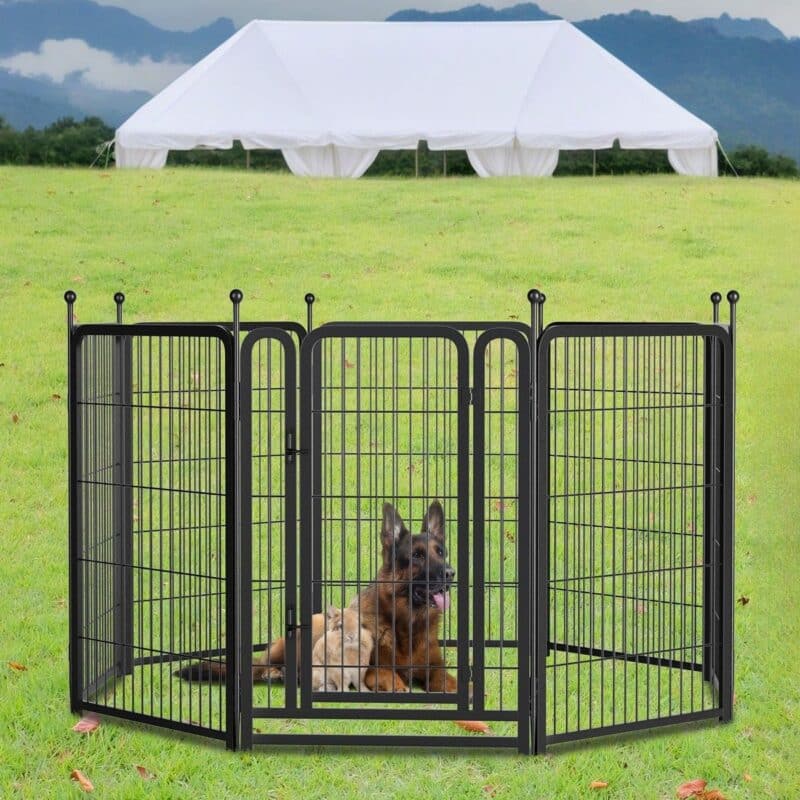 heavy duty dog pens outdoor