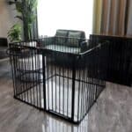 inside dog playpen for small dogs
