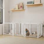 White L-shaped indoor dog playpen with a golden retriever mix and Cavalier King Charles Spaniel, dog bed, toys, and wall shelves with pet supplies in a bright modern room.