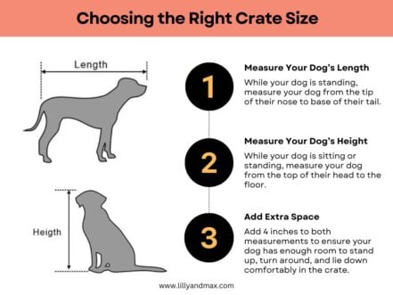 60" Extra Large Heavy Duty Metal Dog Crate & Indoor Kennel for ...
