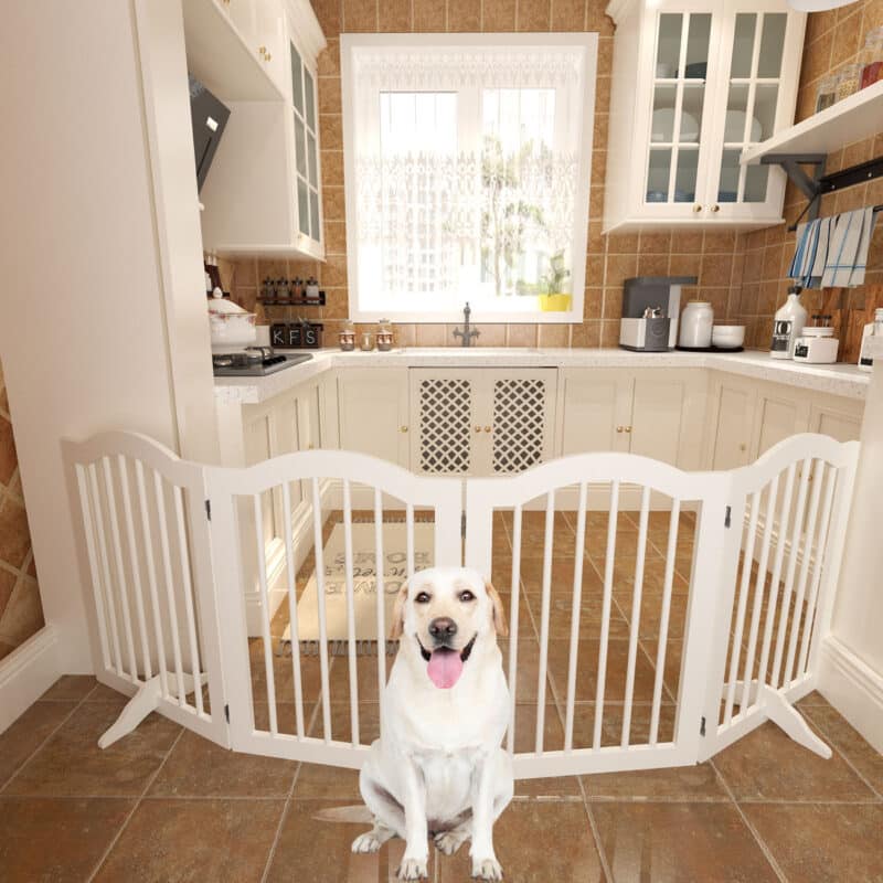 A happy Labrador Retriever sits in front of a freestanding, white wooden dog gate positioned to block off access of a well-organized kitchen.