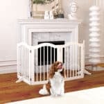 A Cavalier King Charles stands front a freestanding white pet gate positioned in front of an elegant fireplace with a marble surround.