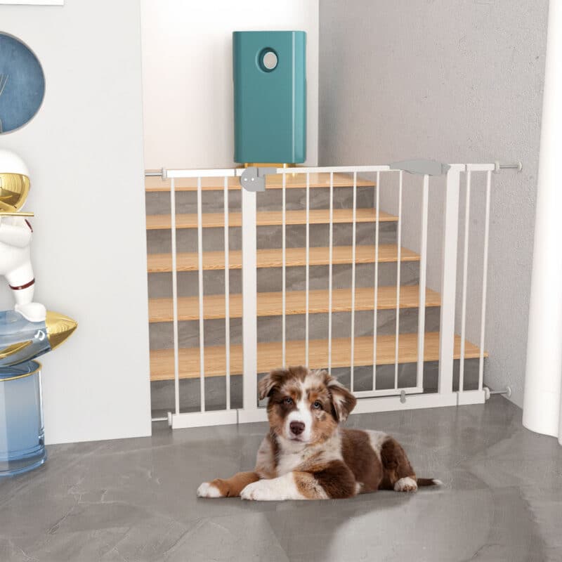 A pressure-mounted dog gate with a brown and white pup.