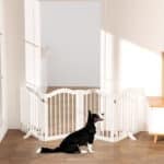 A black-and-white dog sits before an arched white gate blocking a wide doorway.