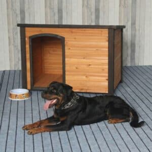 dog house for large dog