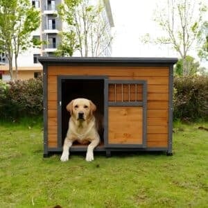 medium dog house outdoor