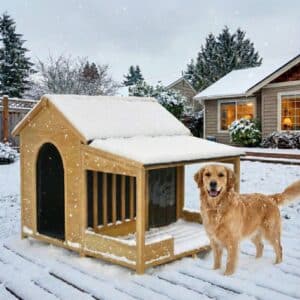 outdoor dog house for winter