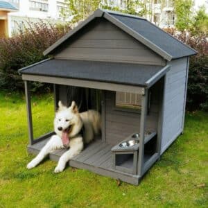 dog house for backyard