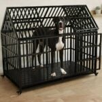 great dane dog crate