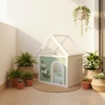 pet sanctuary indoor