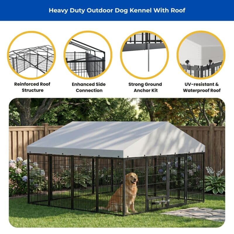 heavy duty outdoor dog kennel with roof