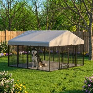 metal extra large outdoor dog kennel