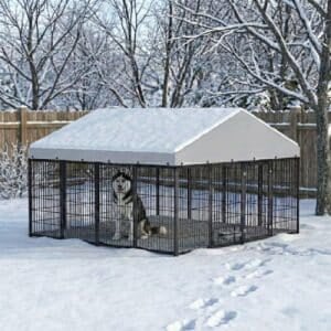 outdoor dog kennel for large dogs