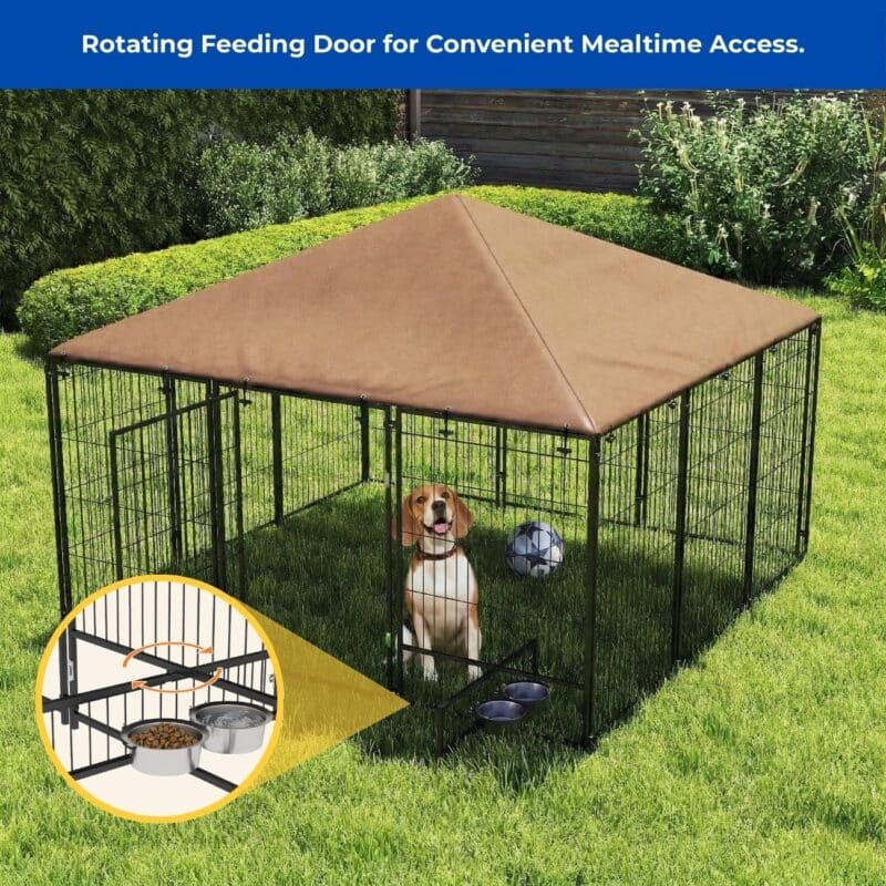 best outdoor dog kennel for large dogs