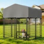 best small dog kennel outdoor