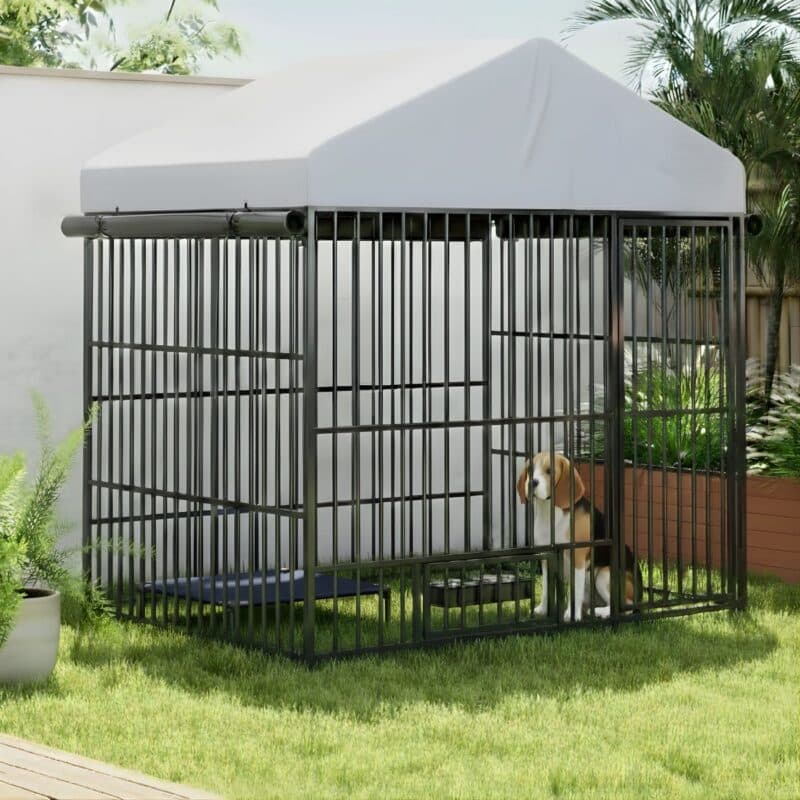 large outdoor dog kennel with cover