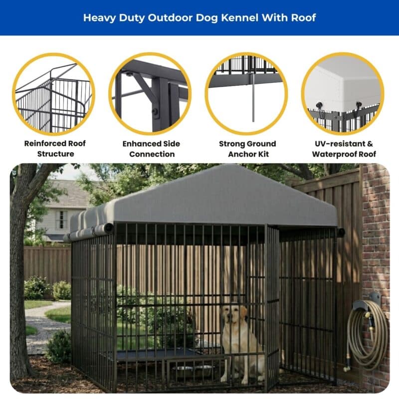 metal outdoor kennel with canopy