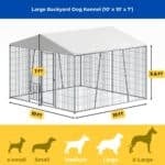 outdoor dog kennel 10 x 10