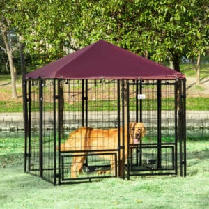 outdoor dog kennel 5 x 5