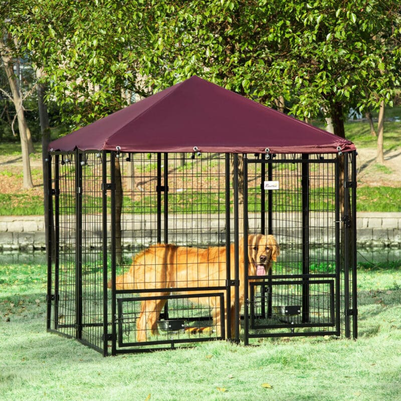 outdoor dog kennel 5 x 5