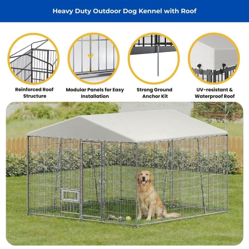 outside dog cage