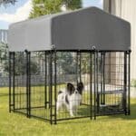 small dog kennel outdoor