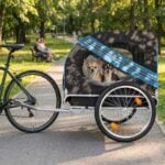 burley bike trailer alternative burley bike trailer alternative