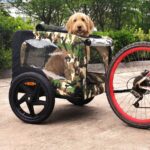 dog bike trailer small dog bike trailer small