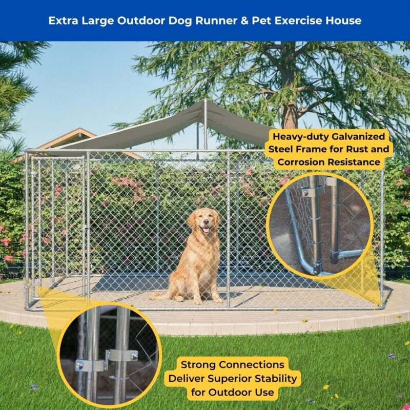 extra large outdoor dog runner