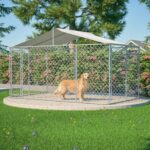large exercise pen outdoor
