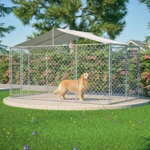 large exercise pen outdoor