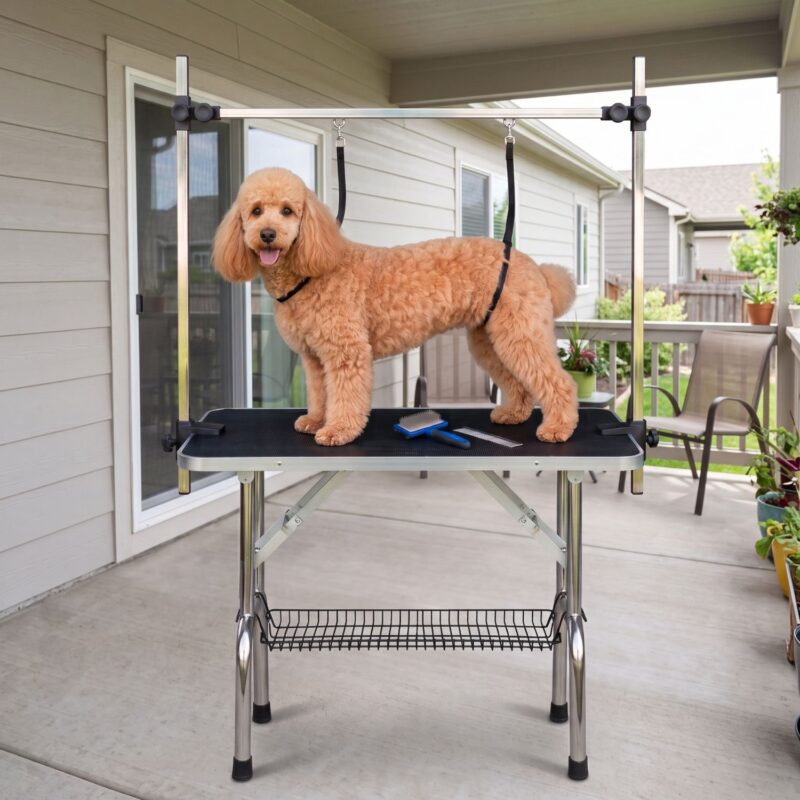 portable dog grooming table for home use Brown coated standard poodle standing on a portable dog grooming table on a covered patio, with grooming loops around its neck and torso and a brush and comb on the tabletop.